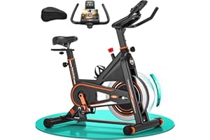 Bicicleta Estatica, Bici Estatica Profesional DMASUN con Mayor Resistencia Magnética, Más Silenciosa, Cómoda y Estable, Capacidad de Carga de Hasta 160 kg (Funda Sillin Bicicleta Estatica Incluida)