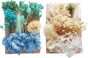 Hileyu Natural Dried Flowers Pressed 2Packs Mixed Multiple Leaves Real for Resin CraftsPendant Cakes DIY Jewellery Nail Art Scrapbooks (Beige+blue), 90 x 200 cm