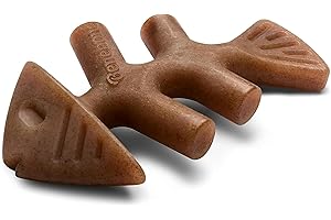 Benebone Jouet à mâcher Indestructible en arête de Poisson pour Les mâcheurs agressifs, Durable et résistant pour briser l'ennui des Chiens, véritable saveur de Saumon Jack, pour Les Petits Chiens,