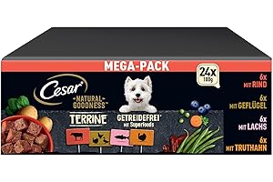 Cesar Natural Goodness Premium Hunde Nassfutter in der Schale Getreidefrei mit Superfoods in 4 Varietäten Megapack 24x100g