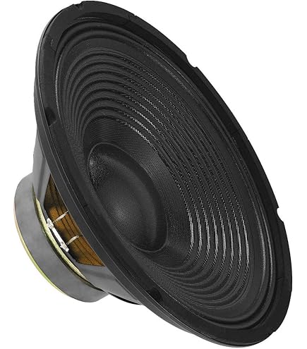 WEB 1 W-128 Haut-Parleur Woofer 30,00 Cm 300 Mm 12" 125 Watt Rms 250 Watt Max Avec Impédance 8 Ohm Maison Disco Sensibilité 94 DB Spl, 1 Pièce