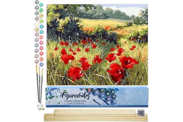 Figured'Art Peinture par Numéro Adulte Coquelicots champêtres - Activité Manuelle Kit de Loisir Créatif DIY Numéro d'Art Complet - 40x50cm avec châssis en bois à monter