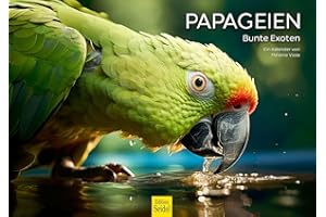 ‎EDITION SEIDEL Edition Seidel Premium Kalender Papageien Bunte Exoten 2024 Format DIN A3 Wandkalender Tierkalender Vogelkalender Papagei Kakadu Vögel Melanie Viola