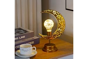 BomKra LED Moon Light Table Lamp,Enchanted Lunar Star Lamp,Decorative Ball Lamp,Battery Operated Bedroom Light Night,Magic Moon Night Light,Starry Night Lamp (C)