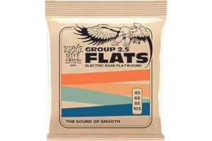 Ernie Ball Flatwound - Cuerdas para bajo eléctrico, grupo 2.5, entorchado plano, calibre 45-105
