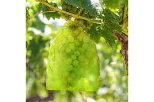 HYWEAN HSAFE 100 Pcs Bolsas Protectoras Uvas Cordón 30 x 40 cm Organza Malla Protección Frutas Jardín Mordeduras Avispas Mosca Drosophila Otros Insectos