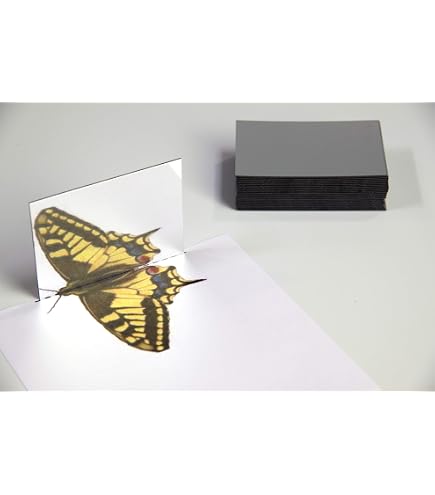 LEARNING RESOURCES - Georeflector - ePRICE