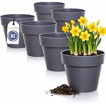 FGYZYP - Set di 3 anelli per vasi da fiori da parete da 20,3 cm, in ferro nero, per balcone, casa, giardino, cortile, uso interno ed esterno