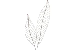 ‎CRISPE HOME & GARDEN Crispe home & garden Gartenstecker Edelrost - Farn Set | Rankhilfe Gartendeko bestehend aus Zwei verschiedenen Größen Farnblättern