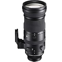SIGMA S 150-600mm F5-6.3 DG DN OS ソニー E Objectif Sigma Art 150-600mm f/5-6.3 DG DN OS Sport (monture