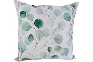 CB Home & Style Outdoor Garten Kissen Wasserabweisend Wasserfest 45 x 45 cm mit Füllung (Eucalyptus2)