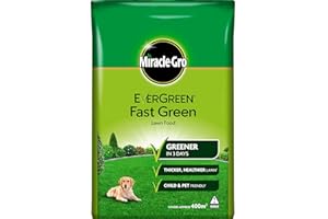 Evergreen Extreme Green Bag 400M