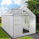 BRAST Gewächshaus Aluminium mit Fundament rostfrei 310x190x195cm Silber 6mm Platten 37 Modelle Alu Treibhaus Glashaus Tomaten