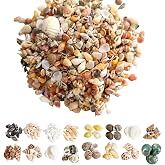 YIPFEN Decorative Seashells, 200 Mini Mixed Natural Shells for Crafts, Vase Filler, Aquarium and Beach Theme Decor