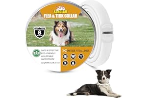 Surglam Collare Antipulci e Zecche per Cani, Collare Regolabile Impermeabile, 8 Mesi di Protezione, Soluzione Naturale Contro i parassiti per Cani, Taglia Unica per Tutti (Weiß-1 pz)