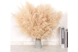 DATEFUN Pampas getrocknete Dekoration, 10 Stück, natürliche getrocknete Blumen, 43 cm – Pampasgras für Boheme, Dekoration, Haus, Deko, Hochzeit, Champetre