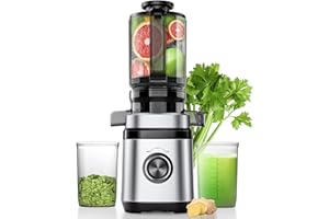 OYLCDI Entsafter, Slow Juicer, Entsafter Gemüse und Obst Testsieger mit | 350W DC-Ultrasilent-Motor | 110MM Einfüllöffnung | 2 Tassen | Saftpresse Elektrisch,Silber