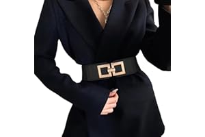 WHIPPY Wide Belts for Women Fashion Elastic Belt for Dresses Vintage Waist Belt Ladies Stretchy Belt Gold Buckle
