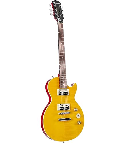 Epiphone Les Paul Cherry Sunburstギグバック２種 Epiphone Les Paul Cherry Sunburstギグバック2種 Epiphone Les