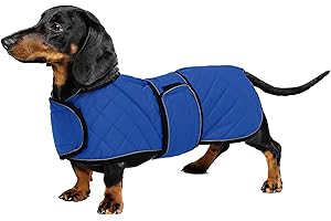 Geyecete - Cappotto Invernale termico trapuntato per cane bassotto,con fodera in pile caldo, abbigliamento per cani da esterno con foro per Imbracatura,Giacca per cani piccola y media-Blu-S