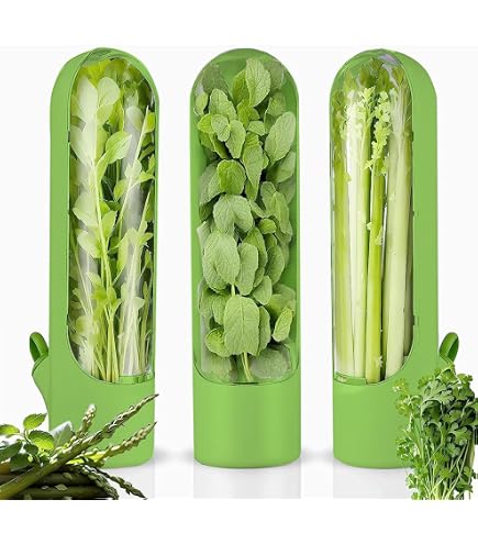 geschnittene kräuter aufbewahren LAWNFUL Frische-Kräuterbehälter für Kühlschrank, transparent, BPA-frei, Kräuterschoner, Aufbewahrungsbehälter für Koriander, Petersilie, Thymian, Minze und Spargel, Konservierer hält frische 3 Drogerie & Körperpflege WG:E-Bike Holland Hintergrund:Acrylglas beidseitig Bettkästen: neuer Stauraum für