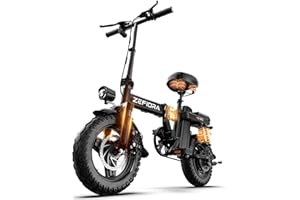 ZEFIORA Electric Bike, 250W Powerful Motor, 48V Removable Battery, 60 KM PAS Range, 14" Folding Ebike with Phone Holder & Lock, Electric Commuter Bicycle for Adults Teens