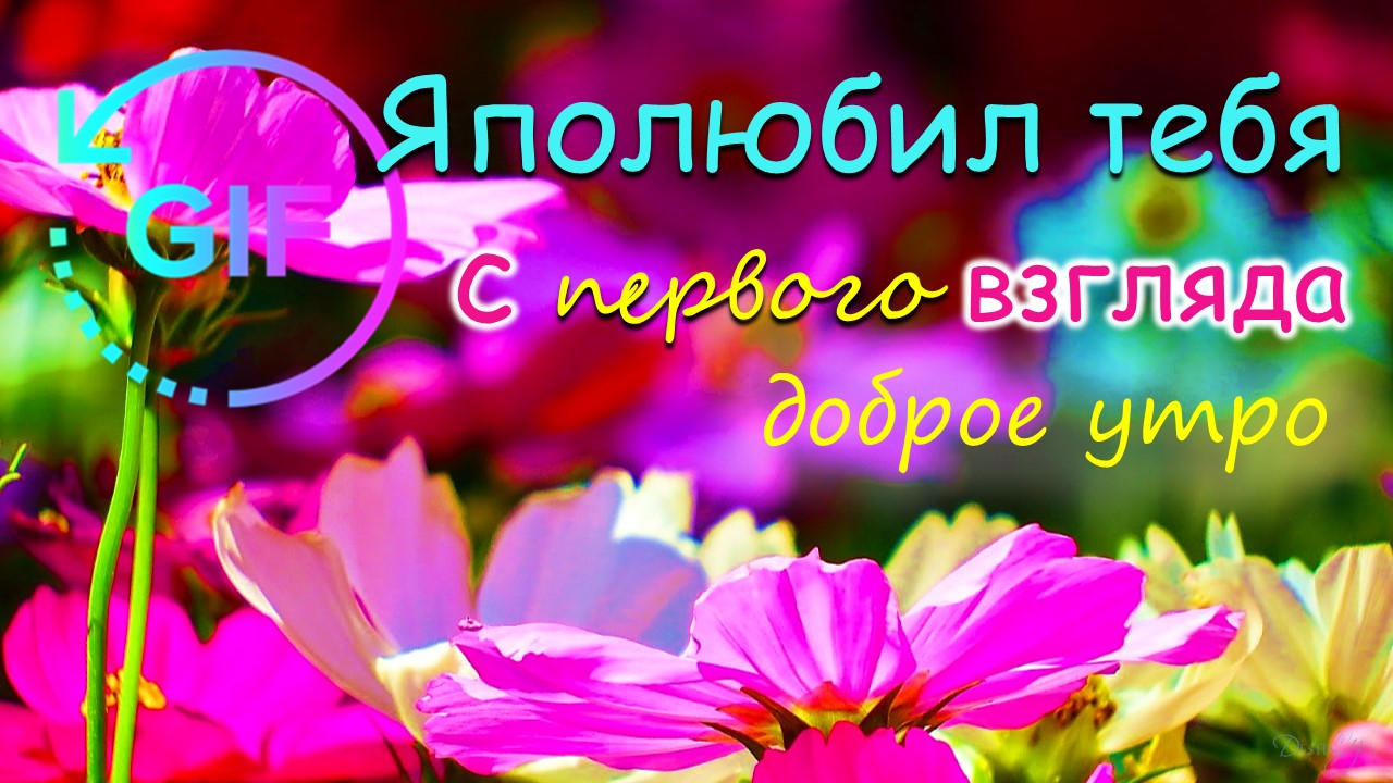 Good Morning Gif With The Best Russian Wishes Amazon In Appstore