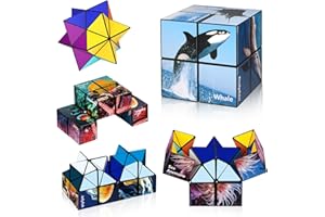 Euclidean Cube Star Cube 2 in 1 Yoshimoto Cube for Kids and Adults, Toy Gifts for Boys and Girls Ages 8-12