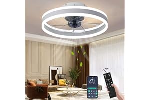 Wildcat Ceiling Fan with Lighting, Quiet Modern LED with Remote Control, Timer, Fan, Ceiling Light, Fan Light for Living Room, Bedroom, Dining Room