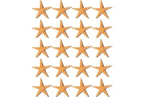 TOZBLEU 20pcs Stelle Marine per decorazioni,Finger Starfish Decorative Stelle Marine in resina per Decorazioni di Matrimoni Home Decor la casa Natale Feste e Progetto Artigianale progetti creativi