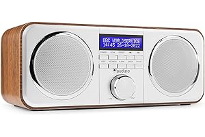 Audizio Novara Radio Dab+ Stereo - Plateado - Radio FM, Reloj Despertador, 2 Altavoces de 40 W, Salida de Auriculares Universal de 3,5 mm, Pantalla LCD