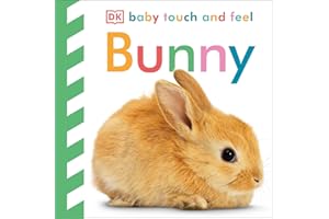 Baby Touch and Feel Bunny
