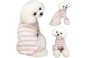 Yaopelky Ropa para Perros pequeños y medianos, Camisas para Perros a Rayas arcoíris, Camiseta elástica de Manga Larga para Gato, Trajes para Mascotas para Chihuahua, Yorkie Teddy (Borde Morado, M)