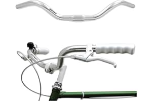LOEVELOSI Guidon de vélo de ville ergonomique pour homme et femme en aluminium argenté - Guidon rétro - Vélo de ville hollandais - Vélo cruiser - Vélo de plage - Argenté - Large