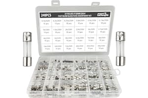 LECHENGJIA 24 Valeurs-240 PièCes Kit Fusibles CéRamique Fusion Rapide, 5x20 mm Fusible Ceramique 0.1/0.2/0.25/0.3/0.5/0.75/1/1.5/2/2.5/3/3.15/4/5/6/6.3/7/8/10/12/15/20/25/30 A (250 V)