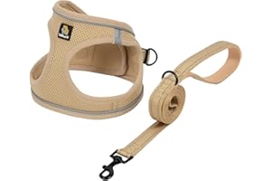 BELLA & PAL Arnés Anti-Tirónes y Correa para Perros Pequeños, Cómodo de Malla de Aire con Correa Reflectante, Caqui, L