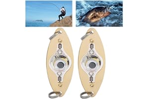 TEROR Luce per esca da pesca, 2 pezzi Luce per esca da pesca a LED a forma di occhio Luce lampeggiante colorata con esca subacquea