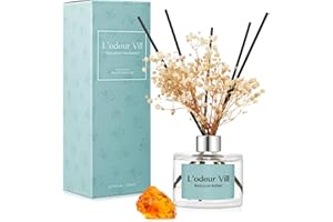 L'odeur Vill 200ml Difusor de con Flores secas/Ámbar marroquí/Ambientadores de Hogar, con 6 Palos difusores de Ambientador Varillas/difusor de Aromas/para Decoración de Baños y Estanterías.