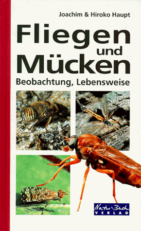 Download Fliegen und Mücken Download Fliegen und Mücken
