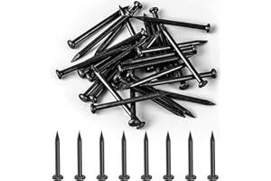 XUIIOSOOKP 270 Pcs Masonry Nails for Brick Wall, Hardware Nails, 30mm/1.18 inch Steel NailsFlat Head Concrete Wall Nail Assortment Kit for Hanging Pictures Woodworking Drywall