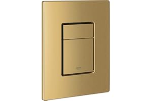 Grohe Skate Cosmopolitan Brushed Cool Sunrise Wall Plate