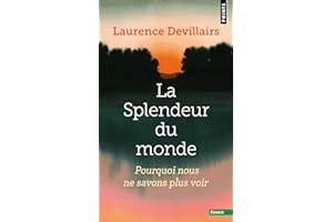 La Splendeur du monde: Pourquoi nous ne savons plus voir