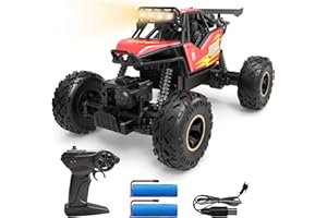 DEERC Ferngesteuertes Auto 1:14 Maßstab, 4WD Rock Crawler Offroad RC Truck mit LED-Lichtern & 2 Akkus, Geländewagen RC Auto für Jungen 8-12 Jahre
