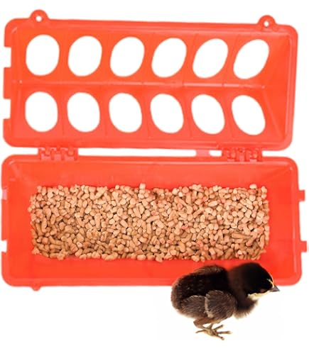 POPETPOP Schweinefuttertrog | Ca. 54x18x13 Cm, Aus Kunststoff | Für Schweine, Kaninchen, Ziegen & Geflügel | Orange
