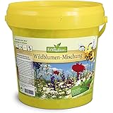 Wildblumen-Mischung für 100-200qm bienenfreundliche Mischung Bienenweide