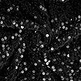 OLYCRAFT 3m/3.3 Yards Velvet Sequin Fabric - Black Glitter - Polyester Mesh - Sequins - Stretch - Craft Clothes Decoration