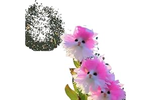 CHUNBIN 100Pcs Cat Face Flower Seed,Or/chids Plants Real Indoor,Ca/t Face Flower Seeds for Indoor,Uniques Cute Cats Faced Or/chids Potted Plants Seeds,for Home Bedrooms Study Rooms Work Spaces,Clean Air(Pink)