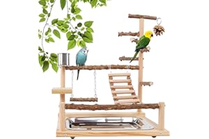 MEYAGOT Vogelspielzeug, Papageienspielzeug, Wellensittich Spielzeug, Spielplatz Mit Feeder-Cup Spielzeug Leiter Erklimmen Schaukel Und Tablett Vogelschaukel Sitzplatz Für Sittiche Nymphensittich, 37x26x45CM