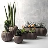 Mercan Saksı Set Dekoratif Drenajlı &Ccedil;izgili Mat (5 Par&ccedil;a, Kahve)
