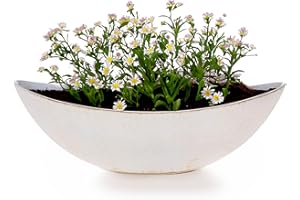 matches21 HOME & HOBBY Ovale Pflanzschale als große 34 cm Vintage Outdoor Deko-Schale Creme-Weiss glänzend